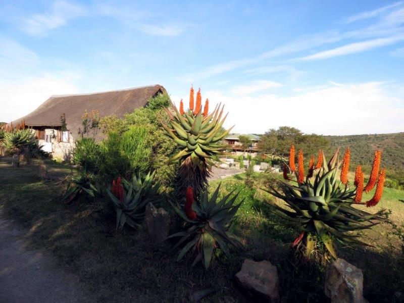 Sweet Waters Lodge